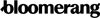 bloomerang logo